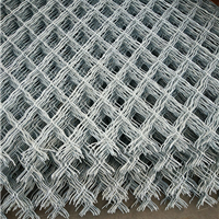 安平縣中禹金屬絲網(wǎng)制品廠