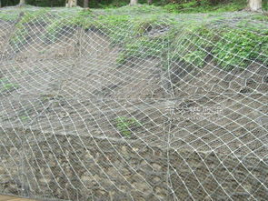 安平縣騰捷金屬絲網制品廠 專業金屬絲網制品領域的卓越之選