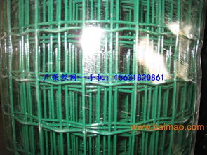 河南葉縣、新鄉、焦作荷蘭網 生產廠家與價格指南